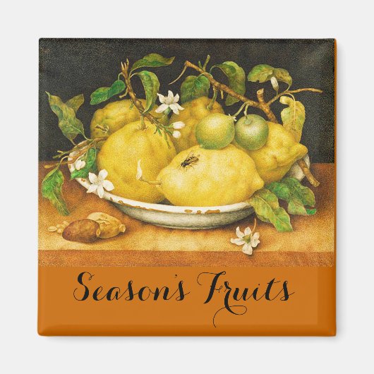 SEIZOENGROENEN EN WITTE STROMEN MAGNEET (Voorkant)