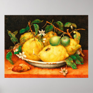 SEIZOENSFRUITEN CITROENEN EN WITTE BLOEMEN POSTER
