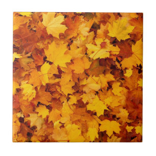 Seizoensgebonden herfstbladeren tegeltje