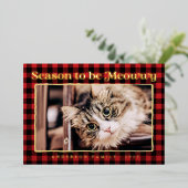 Seizoensgroeten Pset Funny Pet Cat Foto Folie Feestdagenkaart (Staand Voorkant)