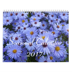 Seizoenskalender 2017 kalender