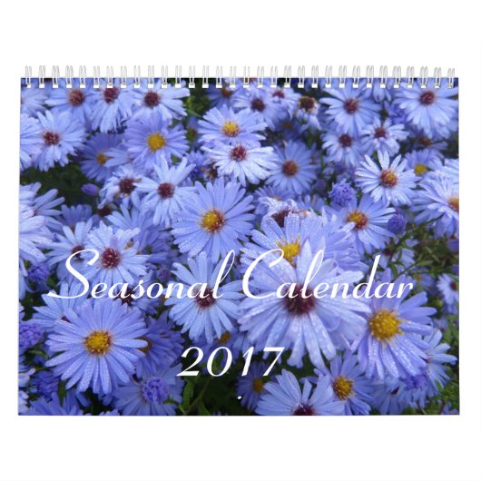 Seizoenskalender 2017 kalender (Hoes)