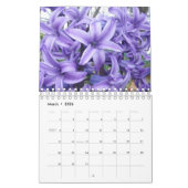 Seizoenskalender Kalender (Mar 2026)