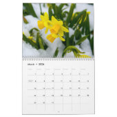 Seizoenskalender Kalender (Mar 2026)