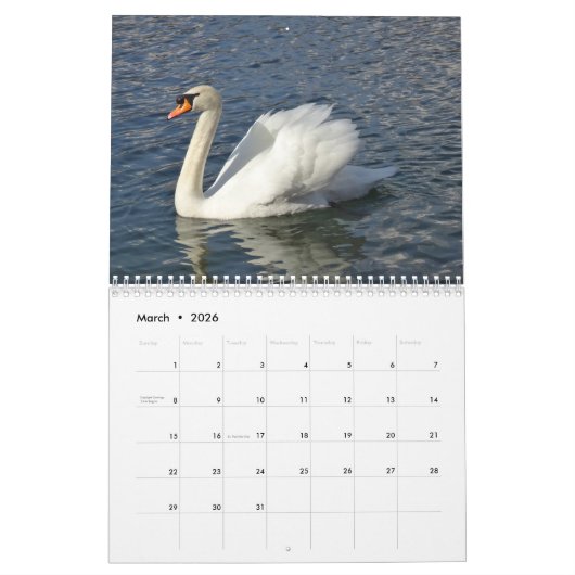 Seizoenskalender Kalender (Mar 2026)