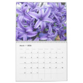 Seizoenskalender Kalender (Mar 2026)