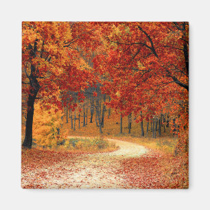 Seizoenskleuren van de herfst magneet