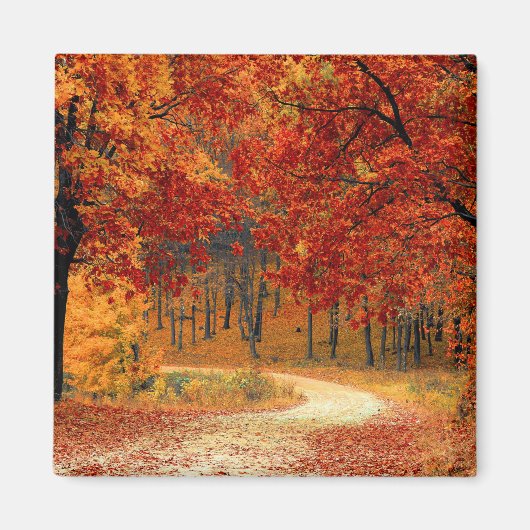 Seizoenskleuren van het najaar magneet (Voorkant)