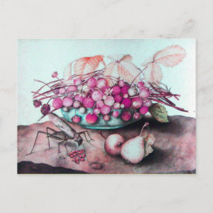 SEIZOENVRUCHTEN 3 BRIEFKAART