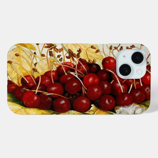 SEIZOENVRUCHTEN / KERNEN EN KARNATIES Case-Mate iPhone CASE (Achterkant (horizontaal))
