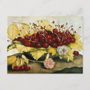 SEIZOENVRUCHTEN / KERNEN EN KARNATIES FEESTDAGENKAART