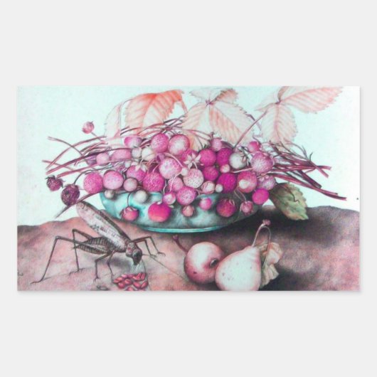 SEIZOENVRUCHTEN / STRAWBERRIA EN PEARS RECHTHOEKIGE STICKER (Voorkant)