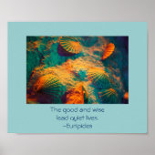 Sekells en zand poster (Voorkant)