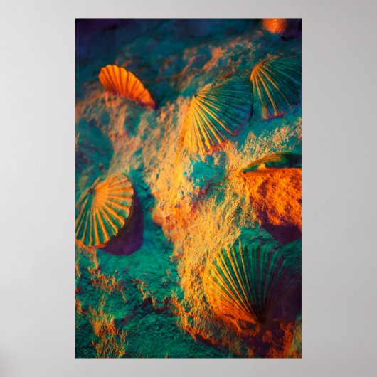 Sekells en zand poster (Voorkant)