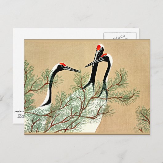 Sekka - Kranen uit Momoyogusa Briefkaart (Voorkant / Achterkant)