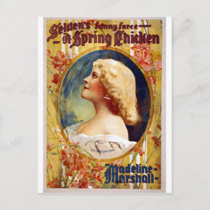 Selden's Funny Farce A Spring Chicken Briefkaart