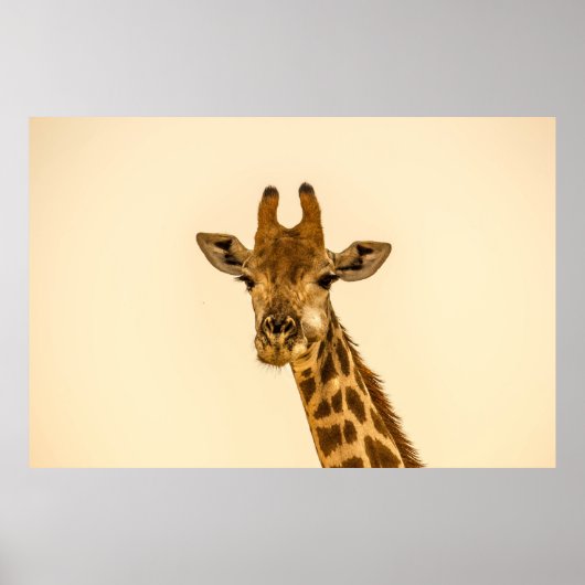 SELECTIEVE FOCUS FOTOGRAFIE VAN GIRAFFE POSTER (Voorkant)