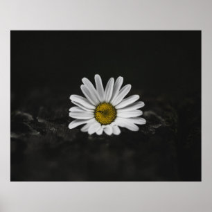 SELECTIEVE KLEURFOTO VAN WITTE DAG POSTER
