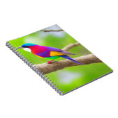 Sélection du meilleur Carnet : où le style rencont (Côté Droit)