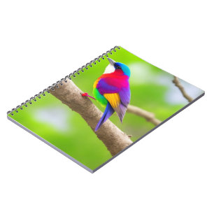 Sélection du meilleur Carnet : où le style rencont