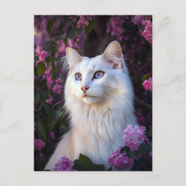 Selene het Turkse Briefkaart van de Angora Cat