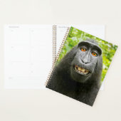 Selfie de singe (Devant avec enveloppe)