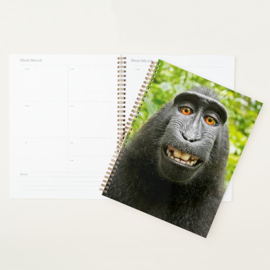 Selfie de singe (Devant avec enveloppe)