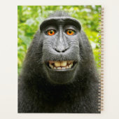 Selfie de singe (Dos)