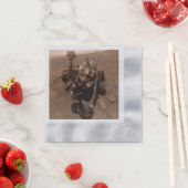 Selfie van Mars Curiosity Rood Marslandschap Servet (Insitu)