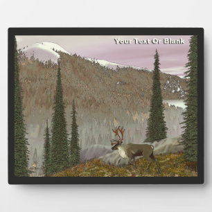 Selkirk Cariou Fotoplaat