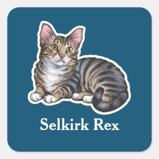 Selkirk Rex Vierkante Sticker