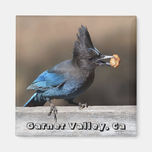 Seller's Jay met pinda Magnet Garner Valley, Ca Magneet