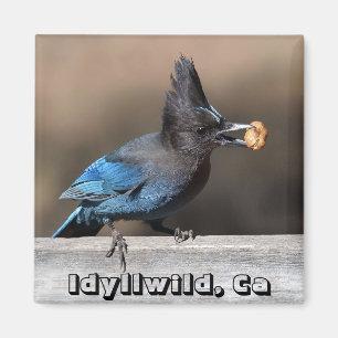 Seller's Jay met pinda Magnet Idyllwild, Ca Magneet