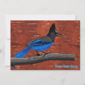 Seller's Jay op binnenste boog (Voorkant)