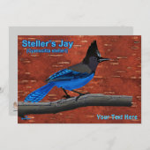 Seller's Jay op binnenste boog (Voorkant / Achterkant)