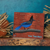 Seller's Jay op binnenste boog Fotoplaat (Zijkant)