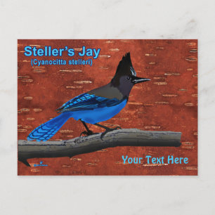 Seller's Jay op Inner Birch Bark Briefkaart