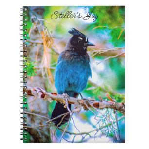 Seller's Jay - Originele Foto Notitieboek