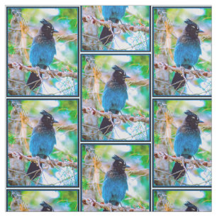 Seller's Jay - Originele Foto Stof