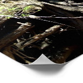 Selway Poster (Hoek)