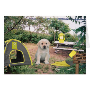 Semaine 6 de Leigh Ann