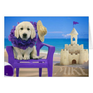 Semaine 8 - Plage Mike