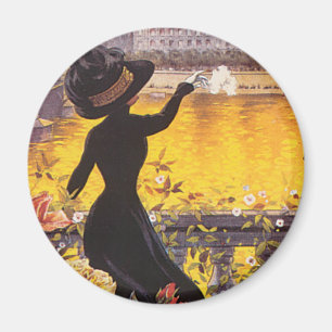 Semaine d'Aviation de Lyon Magneet