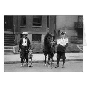 Semaine de la bonté envers les animaux, 1923