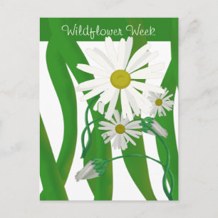 Semaine de la Fleur Sauvage Carte Postale Margueri