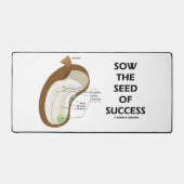Semence De Succès Dicotyledon Graine De Haricots (Recto)