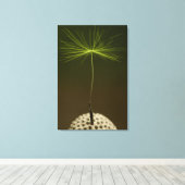 Semence d'un Dandelion photo sur toile (Insitu (Plancher de Bois))