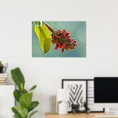 Semences rouges Magnolia du Sud dans Poster Pod II (Bureau à domicile)