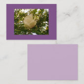 Semi Gloss White Rose Bloom Visitekaartje (Voorkant / Achterkant)