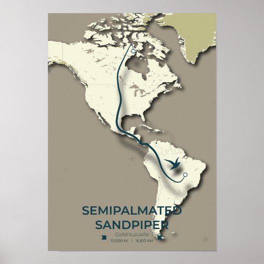 Semipalmated Sandpiper Migration Map – Minimalisti Poster (Voorkant)